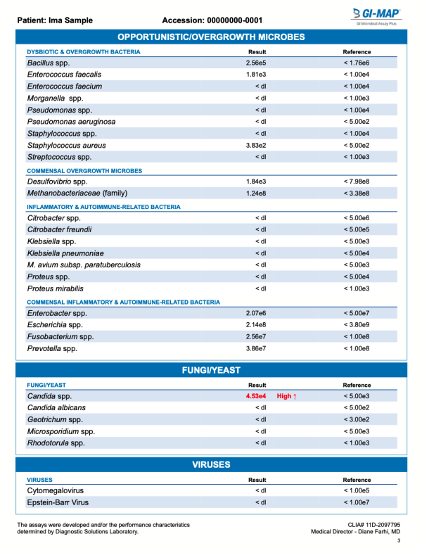 GI Map Microbiome Stool Test Sample Report Interpretation Page 3